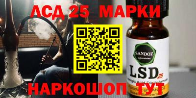 стафф Кандалакша