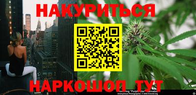 молекула духа Камышлов