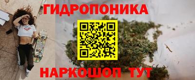 стафф Кандалакша