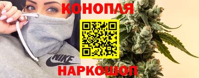 каннабис Кингисепп