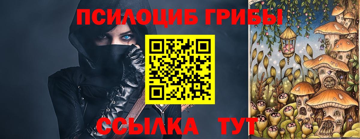 Псилоцибиновые грибы GOLDEN TEACHER Лысьва